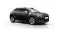 C4 Cactus